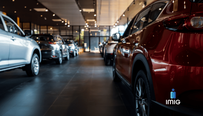 Automotive Supplier Assessment | Agile Management in Automotive | business turnaround and transformation | taskforce delivery | lean training and development | programme management | digitalisation and industry 4.0 | interim leadership | factory consultant | cmtc manufacturing | it consultant for manufacturing | small business turnaround consulting